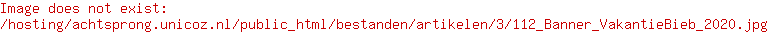 VakantieBieb is geopend